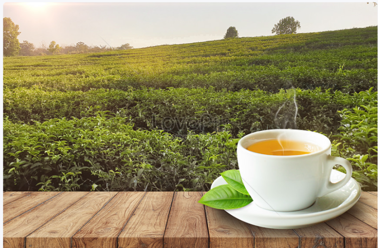 Heartfelt Wishes For International Tea Day: Celebrating With Tea Lovers Around The World
