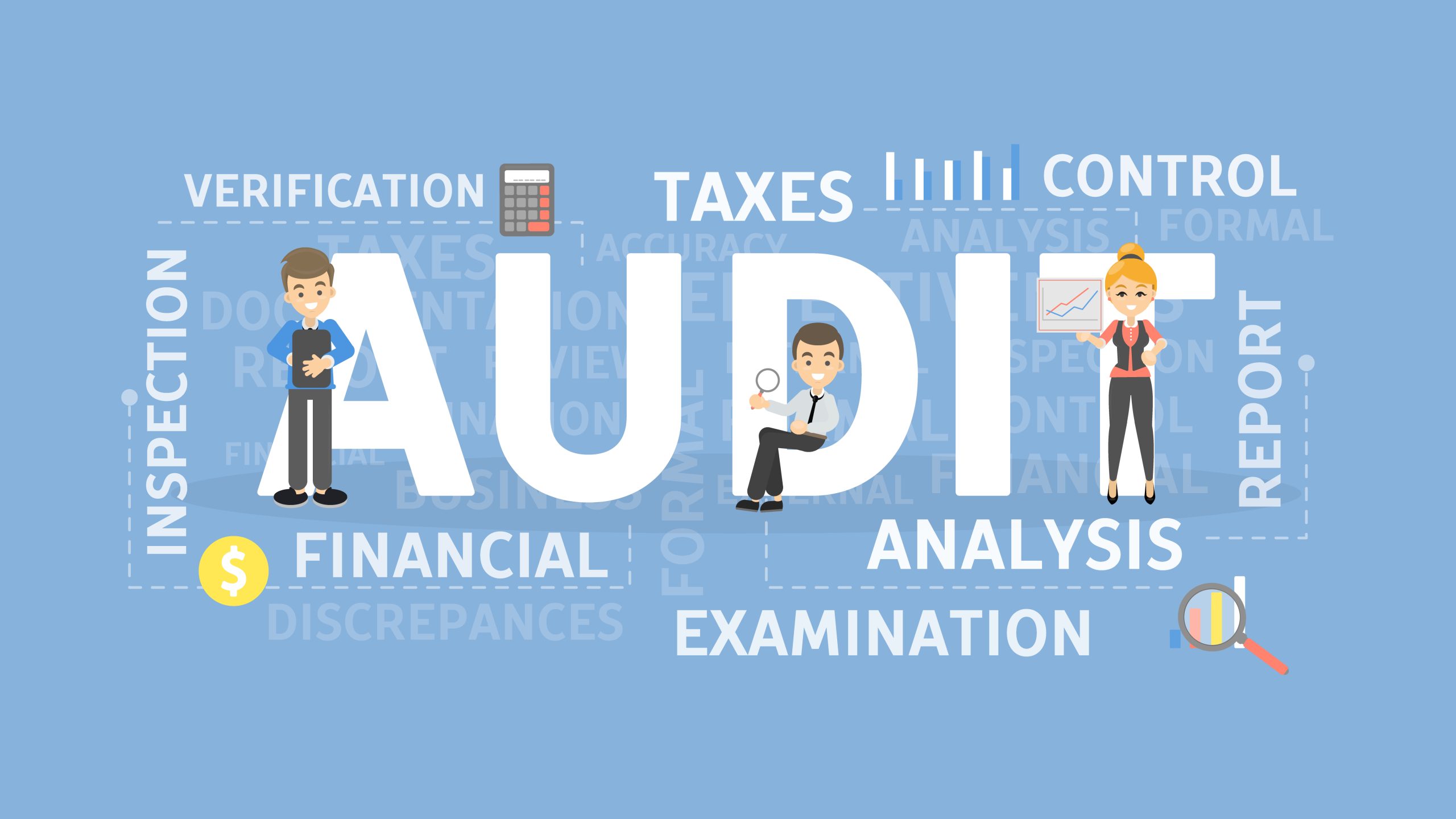 Tax Audit